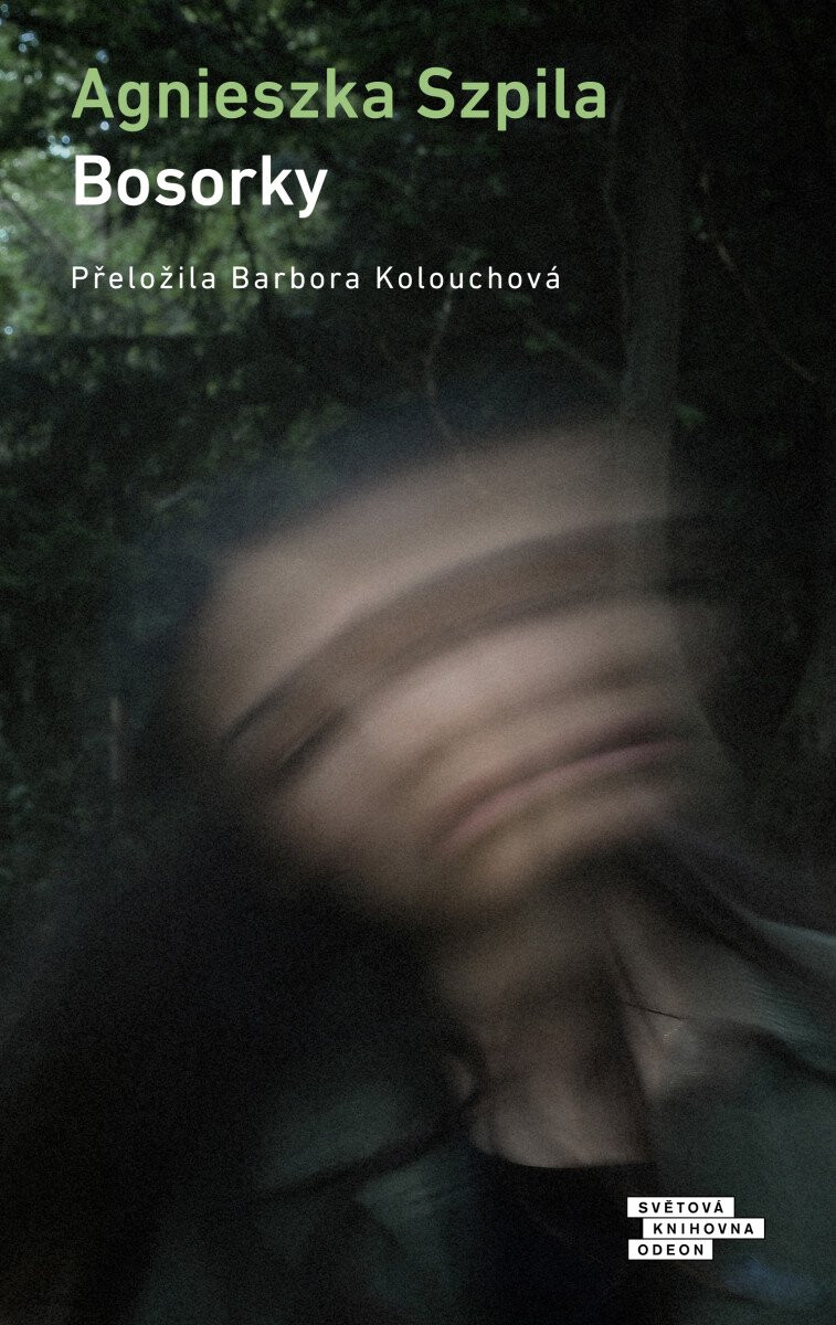 carodej vkulne