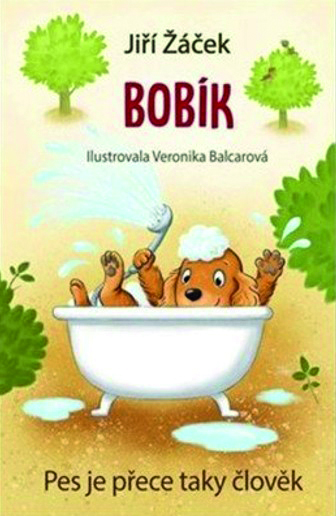 BOBÍK